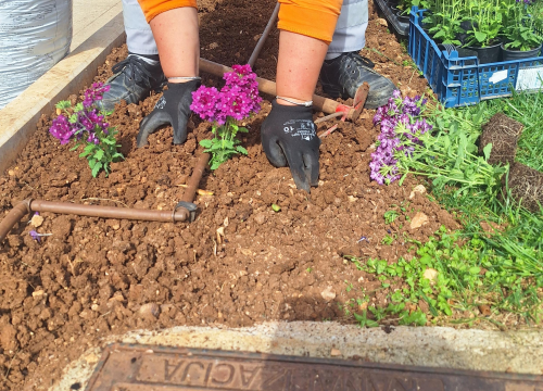 Fotografija 4 - Zeleni grad uređuje Perivoj Luje Maruna