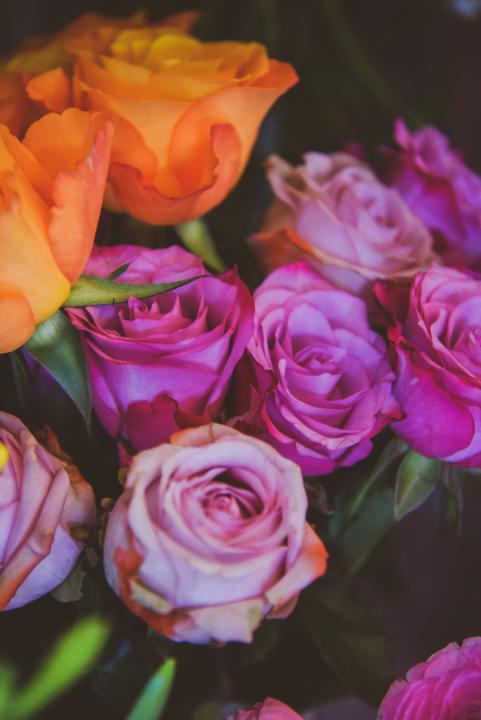 Merci flower&gift shop nudi najljepše cvjetne bukete i asortiman poklona!