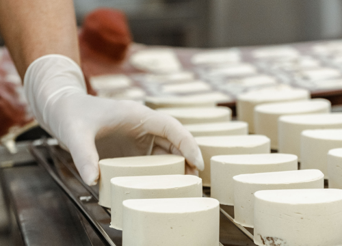 Fotografija 7 - Moderato Coffee & Cakes otvorio je svoj pogon za proizvodnju na Podima!