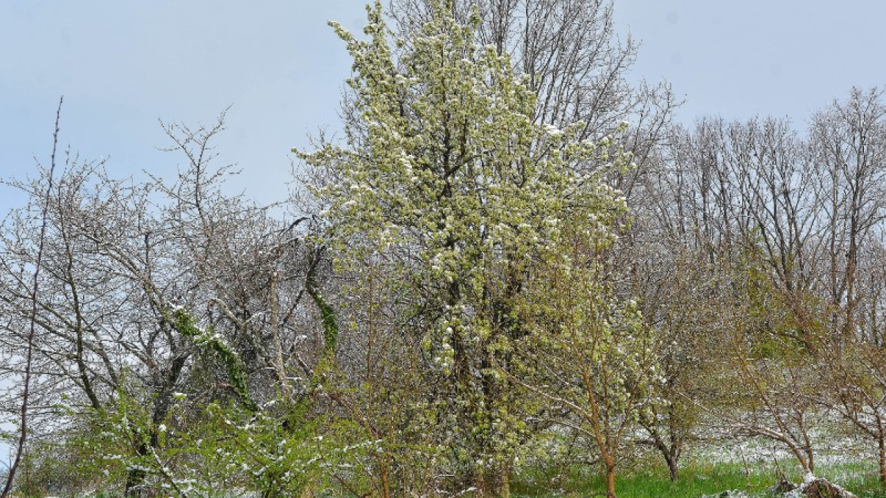 Zabijelio se sjever Hrvatske, a osim snijega drastično pala i temperatura