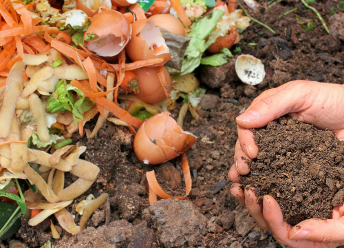 Smanjite kućni komunalni otpad i kompostirajte!