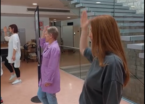 Djelatnici šibenske knjižnice zaplesali na 'Rim Tim Tagi Dim'