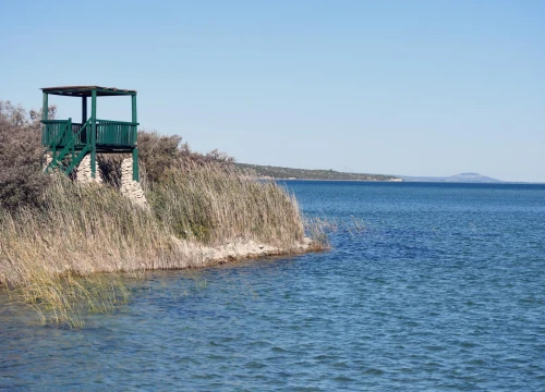 Stručnjak s Instituta Ruđer Bošković: Vransko jezero umire