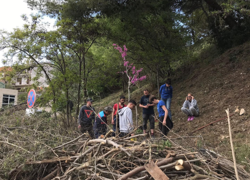 Flora Dalmatica i ove godine uređuje 'Robertin park' u Docu, u čast na prerano preminulu arhitekticu