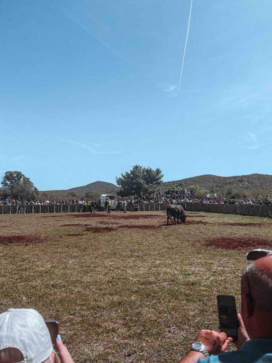 Bili smo na Bikijadi u Nevestu: ‘Željeli smo barem nakratko vratiti život u kraj koji umire’