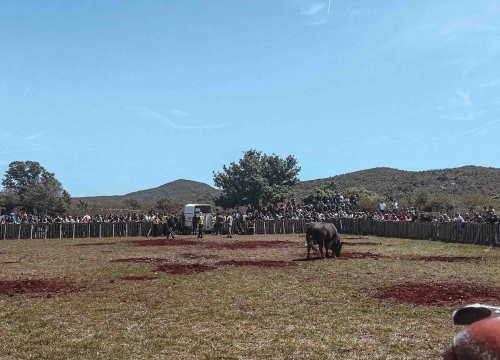 Fotografija 6 - Bili smo na Bikijadi u Nevestu: ‘Željeli smo barem nakratko vratiti život u kraj koji umire’