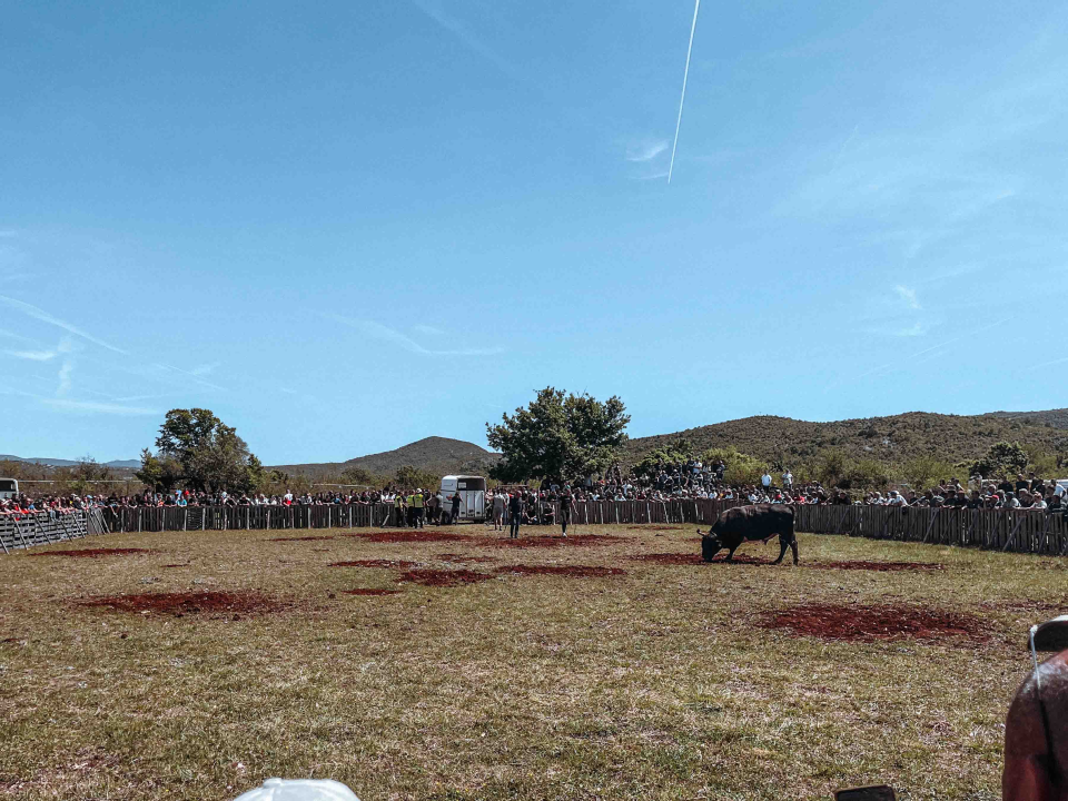 Bili smo na Bikijadi u Nevestu: ‘Željeli smo barem nakratko vratiti život u kraj koji umire’