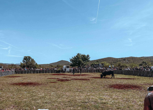 Fotografija 7 - Bili smo na Bikijadi u Nevestu: ‘Željeli smo barem nakratko vratiti život u kraj koji umire’