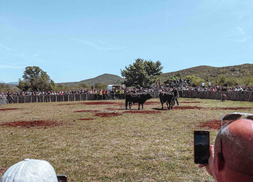 Fotografija 8 - Bili smo na Bikijadi u Nevestu: ‘Željeli smo barem nakratko vratiti život u kraj koji umire’