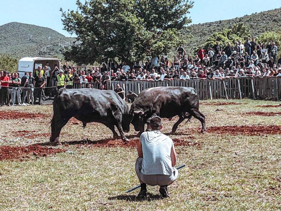 Bili smo na Bikijadi u Nevestu: ‘Željeli smo barem nakratko vratiti život u kraj koji umire’