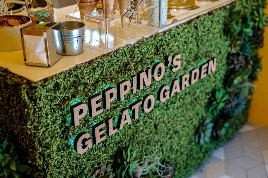 Upotpunite svoj prostor biljnim dekorima visoke kvalitete!