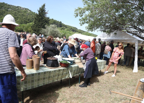 Fotografija 1 - TZ grada Vodica i ove godine organizirao piknik u Rakitnici