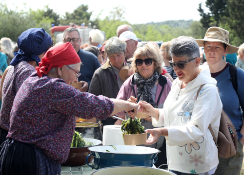 Fotografija 2 - TZ grada Vodica i ove godine organizirao piknik u Rakitnici
