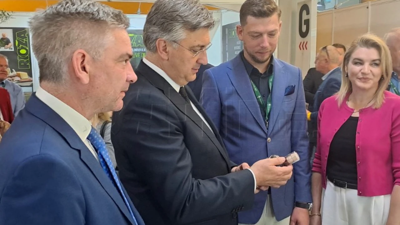 Plenković: 'Nastavljamo razgovore o sastavljanju Vlade'