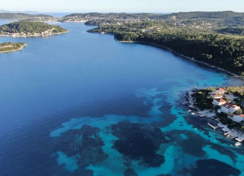 Na potopljenom lokalitetu kod Korčule bademi su se uzgajali prije 6900 godina