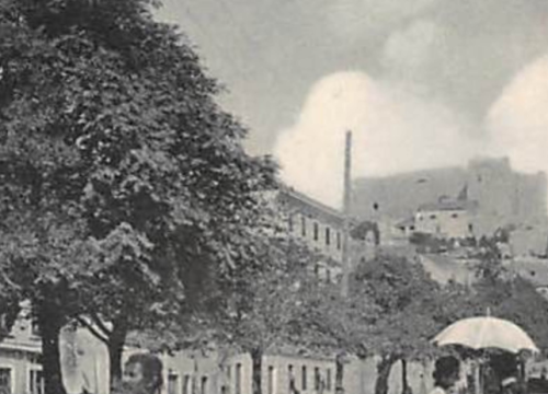 Šibenski leksikon: Ko izgubi u kartama, sviman plaća litru