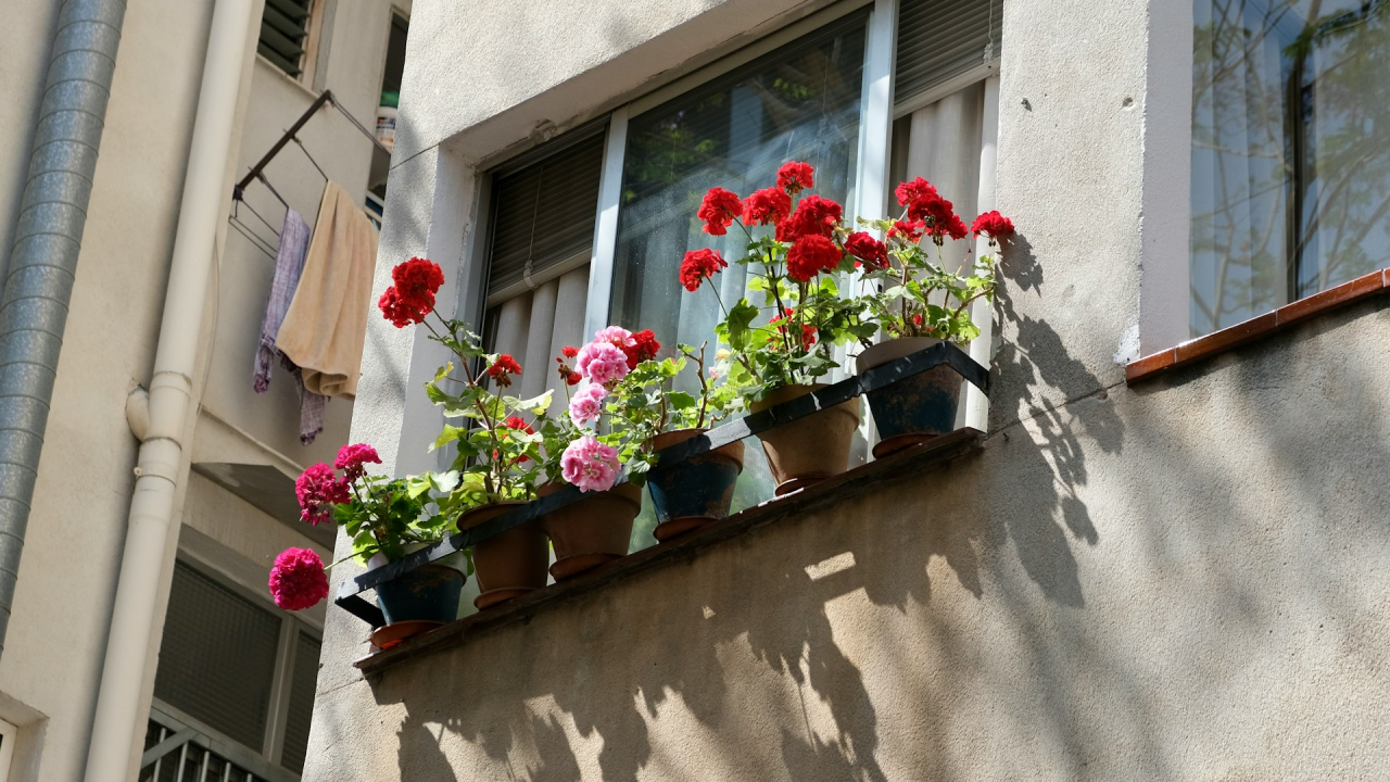 Tri genijalna trika uz koja će balkonske biljke poživjeti iznimno dugo