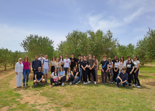 Šibenski studenti na OPG-u Uroda učili o značenju maslinovog ulja kao lijeka i hrane