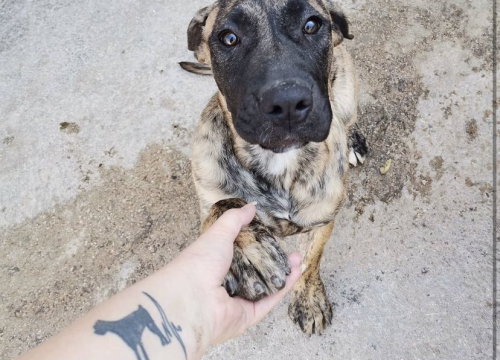 Fotografija 2 - Omiljeni bistro Kod Starog odlično je odredište i u ljetnim danima!