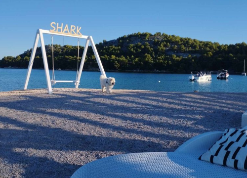 Fotografija 4 - Omiljeni bistro Kod Starog odlično je odredište i u ljetnim danima!