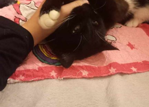 Fotografija 7 - Omiljeni bistro Kod Starog odlično je odredište i u ljetnim danima!