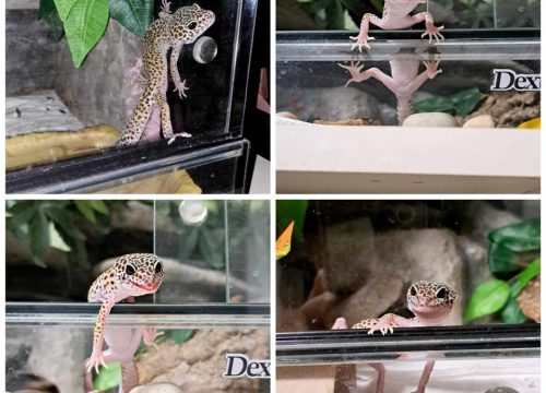 Fotografija 16 - Omiljeni bistro Kod Starog odlično je odredište i u ljetnim danima!