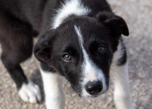 Fotografija 23 - Omiljeni bistro Kod Starog odlično je odredište i u ljetnim danima!