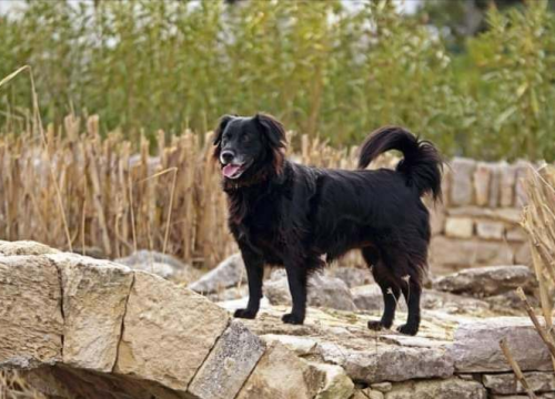 Fotografija 36 - Omiljeni bistro Kod Starog odlično je odredište i u ljetnim danima!