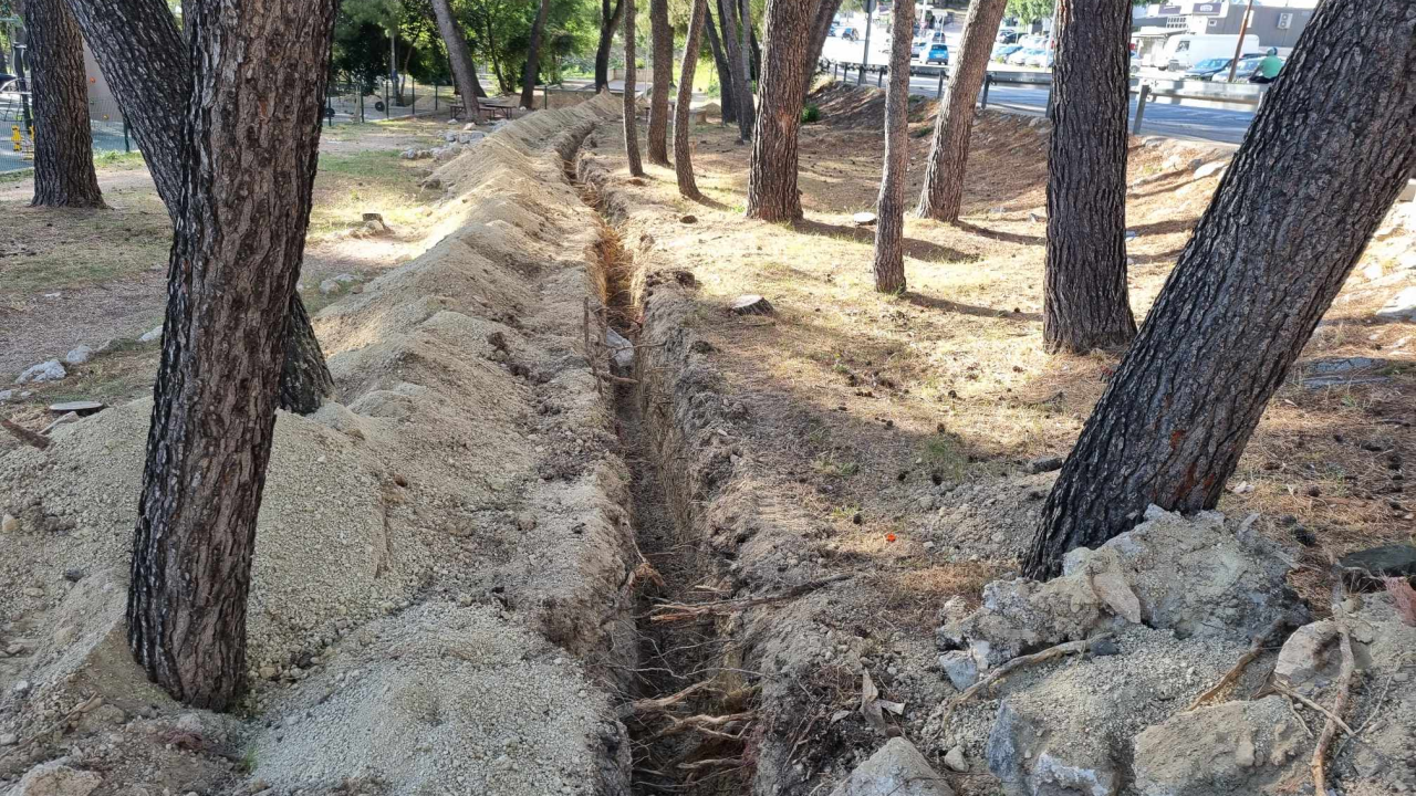 Krenula kompletna obnova Rasadnika: Stižu nova stabla i slavine za pitku vodu, uređuju se igrališta...