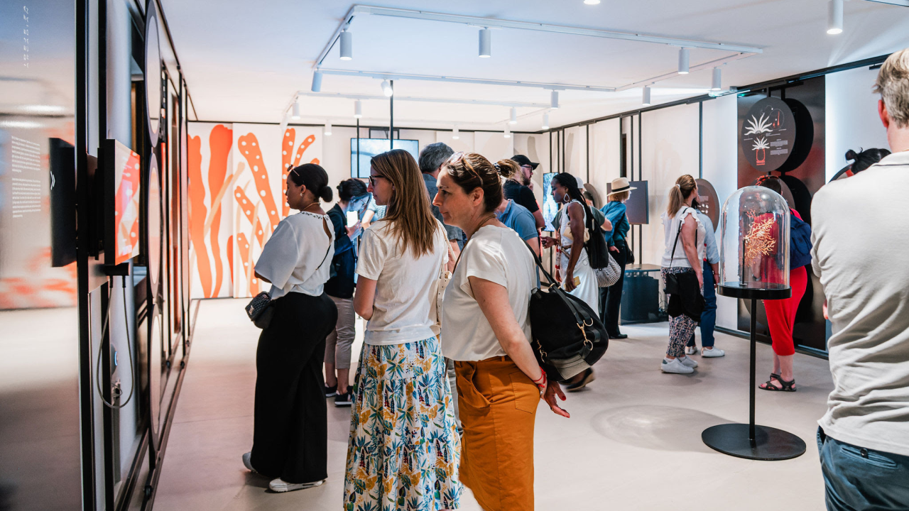 Centar koralja Zlarin slavi prvi rođendan! Početak lipnja prepun događanja