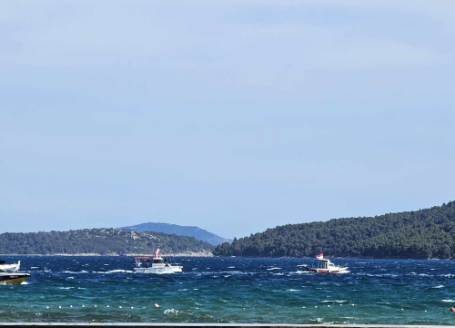 Fotografija 3 - Mještani Prvića prosvjedovali jer su nezadovoljni brodovima koji ih povezuju s kopnom
