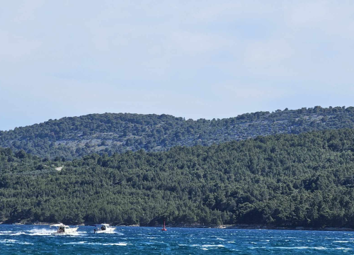 Fotografija 2 - Mještani Prvića prosvjedovali jer su nezadovoljni brodovima koji ih povezuju s kopnom