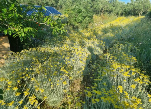 Fotografija 10 - Doris Banić u Dubravicama ima penthouse i hotel, a njezini 'gosti' boravak ne plaćaju