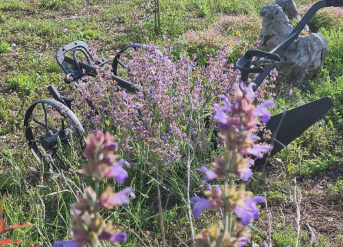 Fotografija 7 - Doris Banić u Dubravicama ima penthouse i hotel, a njezini 'gosti' boravak ne plaćaju