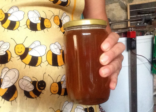 Fotografija 5 - Doris Banić u Dubravicama ima penthouse i hotel, a njezini 'gosti' boravak ne plaćaju