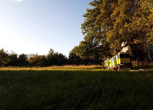 Fotografija 3 - Doris Banić u Dubravicama ima penthouse i hotel, a njezini 'gosti' boravak ne plaćaju