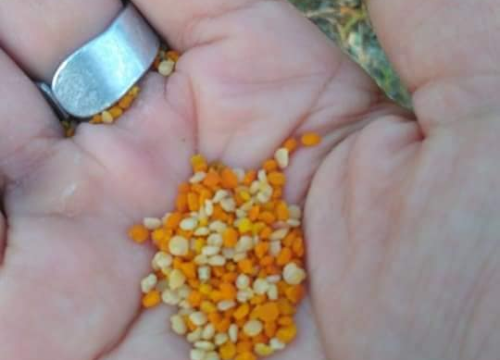 Fotografija 2 - Doris Banić u Dubravicama ima penthouse i hotel, a njezini 'gosti' boravak ne plaćaju