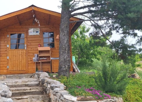 Fotografija 9 - Doris Banić u Dubravicama ima penthouse i hotel, a njezini 'gosti' boravak ne plaćaju