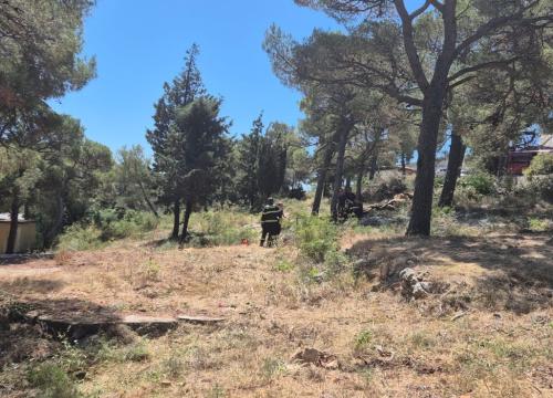 Fotografija 2 - Šibenski vatrogasci očistili prostor oko DV Šibenski tići