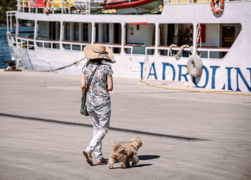 Fotografija 8 - FOTO Đir po gradu, ponedjeljak 17. lipnja