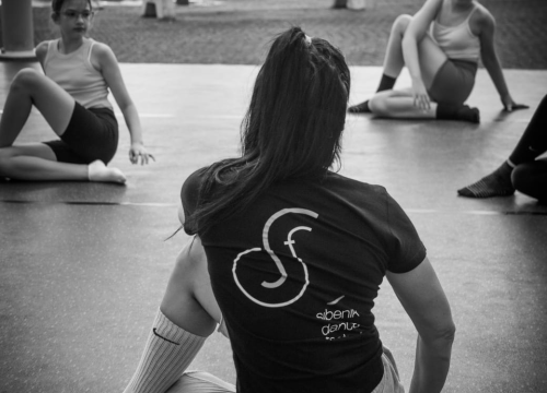 Fotografija 2 - Šibenik Dance Festival donosi edukativne i zabavne plesne radionice za djecu i odrasle