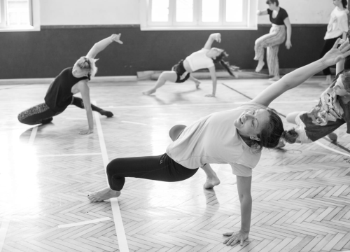 Fotografija 4 - Šibenik Dance Festival donosi edukativne i zabavne plesne radionice za djecu i odrasle