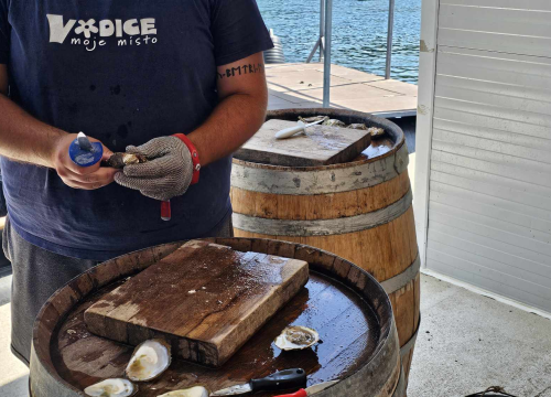 Fotografija 6 - Turizam u Dalmaciji počeo je prije 180 godina u Šibeniku, a danas smo prošli rutom prvih turista