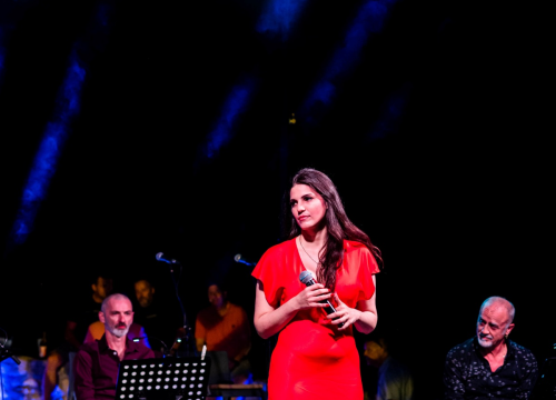 Fotografija 2 - Šibenik je dva dana pjevao njegove pjesme: 'Arsen je dio svačijeg odrastanja'