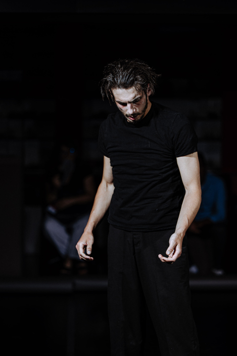 Intimne izvedbe i iskrene emocije obilježile su drugu večer Šibenik Dance Festivala