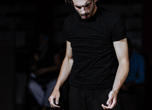 Fotografija 21 - Intimne izvedbe i iskrene emocije obilježile su drugu večer Šibenik Dance Festivala