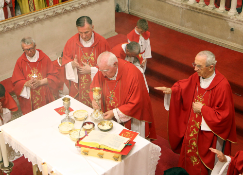 Fotografija 2 - Biskup Ivas proslavio šezdesetu obljetnicu svećeništva