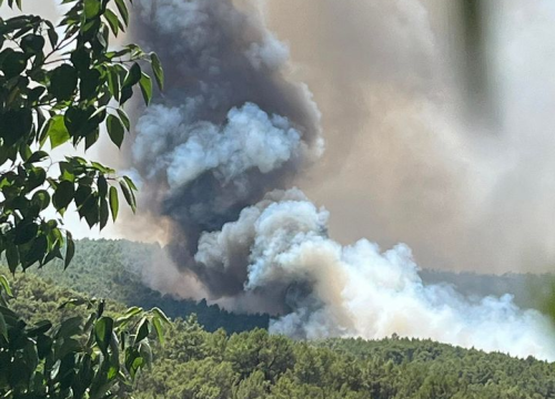 Fotografija 4 - Preko 120 vatrogasaca bori se s požarom: 'Postoji šansa da se proširi u pravcu Dubravica i NP Krka'