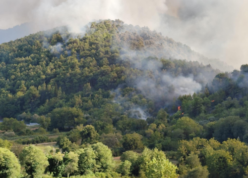 Fotografija 9 - Preko 120 vatrogasaca bori se s požarom: 'Postoji šansa da se proširi u pravcu Dubravica i NP Krka'