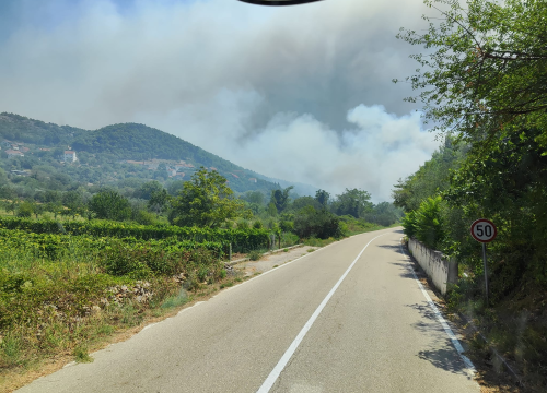Fotografija 4 - Vodički vatrogasci, nakon pet dana na požarištu, spasili mladog sokola